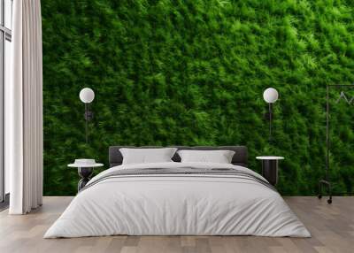 Detailed Green Grass Surface Wall mural