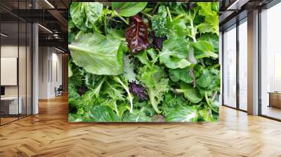 Fresh mixed salad field greens piled closeup view Wall mural