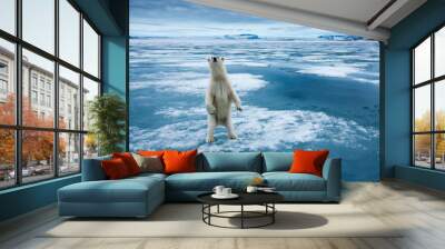 Polar Bear, Svalbard, Norway Wall mural