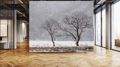 the two tree by the river this winter Wall mural