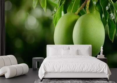 Unripe mango, green and firm, conversing with ripe mango, rich orchard, playful exchange Wall mural