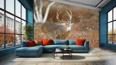 White-tailed Deer Wall mural