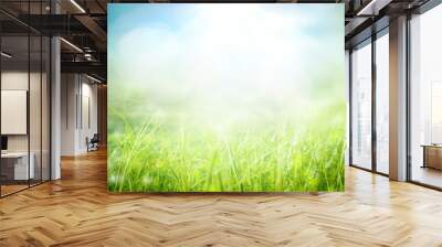 World environment day concept: green grass and blue sky abstract background with bokeh Wall mural