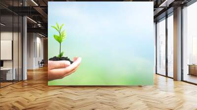 World environment day concept: hand holding tree over blurred natural background Wall mural