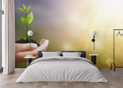 World environment day concept: Human hand holding small tree over blurred agriculture field background Wall mural