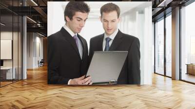 handsome businessmen looking at laptop Wall mural