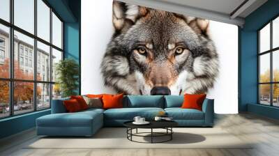 Cara de lobo  Wall mural