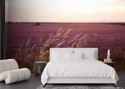 lavender field at sunset Wall mural