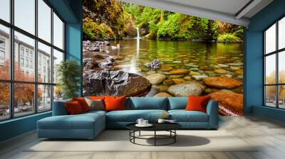 Punch Bowl Falls along the Eagle Creek Trail in Oregon with focus on the rocks in the foreground Wall mural