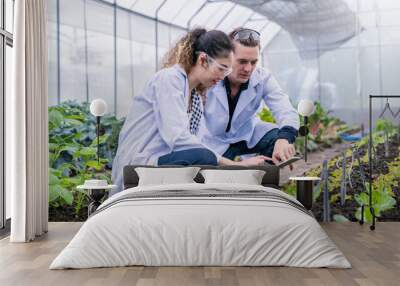 Portrait of happy agricultural engineer man and woman team working in greenhouse organic farm, startup small business sme owner. Young scientists examined the quality of vegetable plant. Wall mural