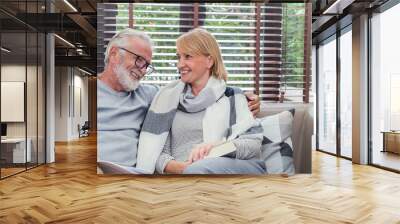 Portrait of happy old couple smiling in living room at home, caucasian senior couple relax in sofa. Healthcare lifestyle elderly retirement together true love concept panoramic banner Wall mural