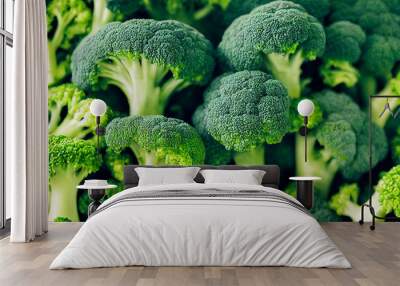 fresh raw green healthy broccoli Wall mural