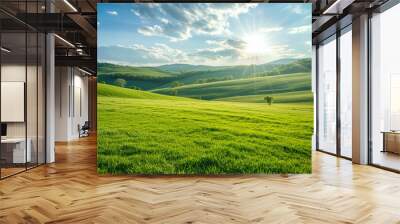 the landscape of a vast meadow for computer wallpaper, or the texture of the view outside the window Wall mural