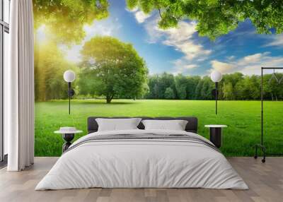 fresh air and beautiful natural landscape of meadow with green tree in the sunny day for summer background beautiful lanscape of grass field with forest trees and enviroment public park with sun ray Wall mural