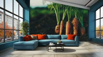 fresh carrots growing in soil closeup Wall mural