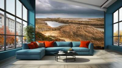 landscape at the curonian lagoon on a gloomy day Wall mural