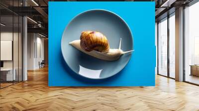 selective focus on a snail served on a plate against a blue background with copy space image Wall mural