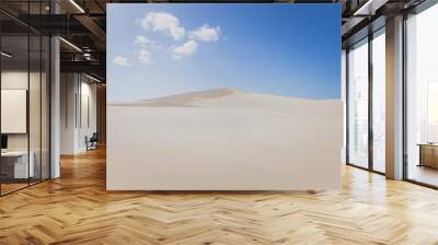 Sand dunes in Port Stephens Wall mural