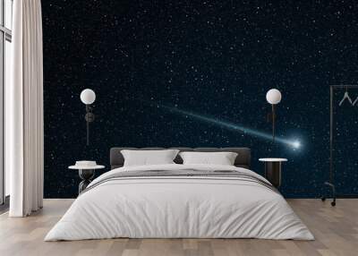 shooting star going across the star field Wall mural