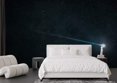 shooting star that shines in the starry night sky Wall mural