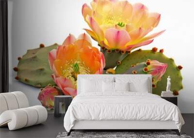 Blooming Beauty: The Prickly Pear Cactus Flower and Young Fruit Wall mural