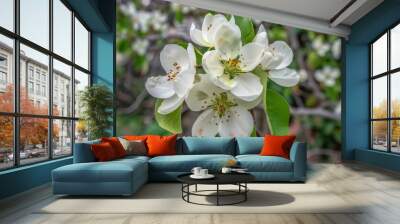 Blossoming Pear Tree: A Stunning Close-up in the Spring Garden - AR 4:3 Wall mural