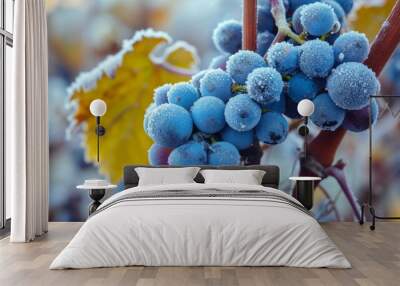 Captivating Harvest: The Frozen Elegance of Blue Vine Grapes in the Autumn Vineyards of Hungary Wall mural