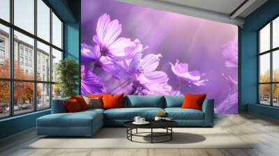 Pastel Purple Margaret Flower: A Blossom of Romance in Spring Wall mural