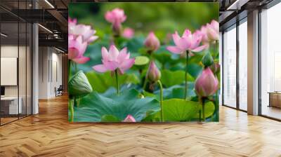 Pink Lotus Perfection: A Stunning Closeup in the Pond Wall mural