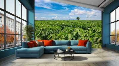 Vibrant Cassava Field Under a Clear Blue Sky:   Wall mural