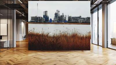 A view on a factory along The Schelde in Antwerp Wall mural