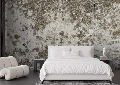 Old grey concrete wall with concrete texture for background. Front view with copy space. Wall mural