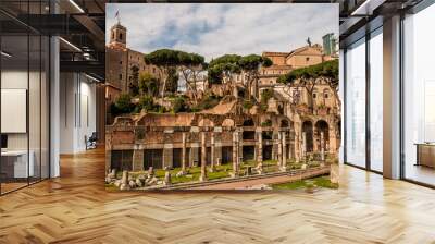 Italy Wall mural