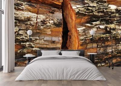 tree texture Wall mural