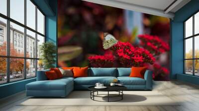 Natureza Wall mural