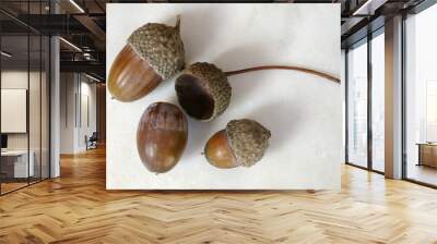 acorn ii Wall mural