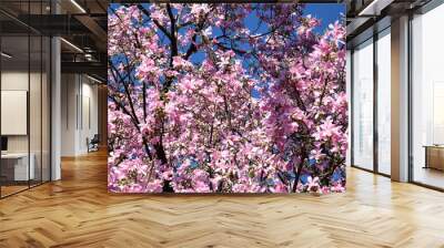 Tree Rose Pink Nature Landscape Wall mural