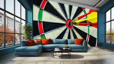 darts arrows in  eye center Wall mural