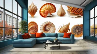 Collection of seashells and starfish isolated on white background Wall mural