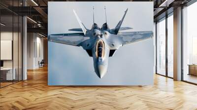 Stealth fighter plane in air Wall mural