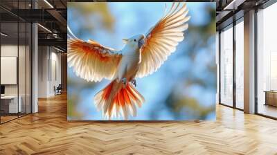 Sulphur-crested Cockatoo flying and crying in the sky Wall mural