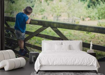 Little boy climbing the wooden gates Wall mural