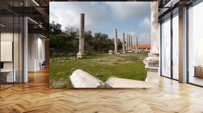 sebastia archeology ancient ruins Wall mural