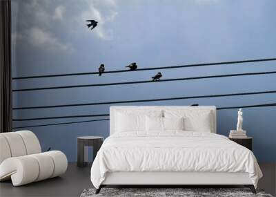 birds on wire Wall mural