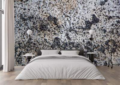 black and white porous granular stone. rough surface texture Wall mural