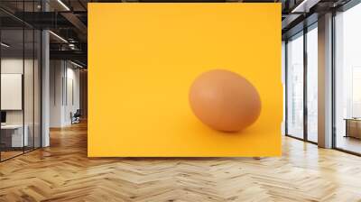 brown raw egg on yellow background Wall mural