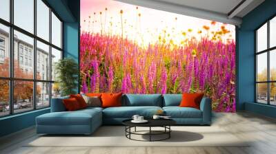 field of wild pink salvia nemarosa Wall mural