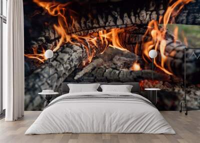 Fire and smoke. Glowing, burning wood in a fire, bonfires. Colorful flame and gray ash, charred with bark. Wall mural