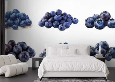 A collection of fresh blueberries lined up next to each other. Wall mural