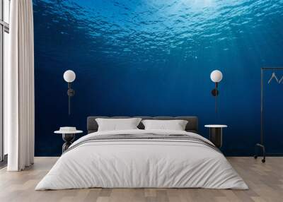 underwater view of the world Wall mural